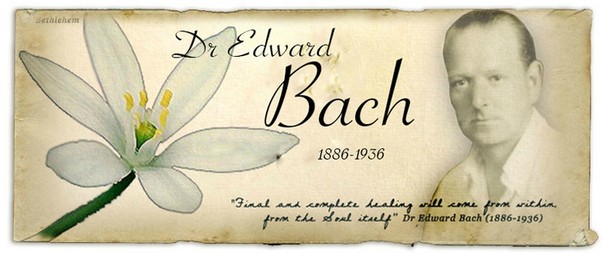Docteur Bach Docteur Bach
